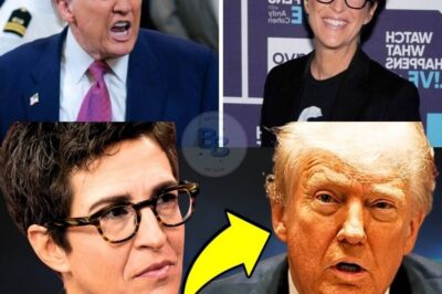 WATCH: Rachel Maddow Just EXPOSED Trump’s DANGEROUS Plot🚨