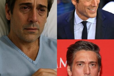 THE SECRET BEHIND DAVID MUIR’S DISAPPEARANCE: WHAT REALLY HAPPENED TO AMERICA’S MOST TRUSTED NEWS ANCHOR?
