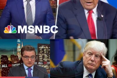 The Growing Shadow of Extremism: The Dangerous Intersection of Politics, Racism, and Power