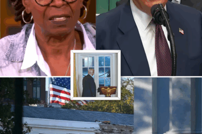 ‘COME ON, MAN!’: Whoopi Goldberg’s Viral Outburst on the Unapproved Demolition Threatening the White House’s Integrity.