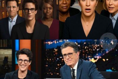 Rachel Maddow’s Shocking Move to Team Up with Colbert and Reid in a Game-Changing News Hub! The Launch Was So Big It Crashed Servers, and Industry Insiders Are Eager to See Which Veteran Journalists and New Faces Are Joining This Revolutionary Project!