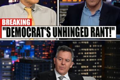 Gutfeld and The Five React to Democrat Meltdown Over Poll Numbers