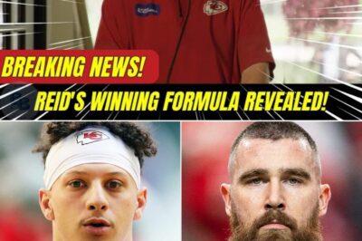 Andy Reid’s Unstoppable Leadership Formula: How His Coaching Philosophy Keeps the Chiefs at the Top