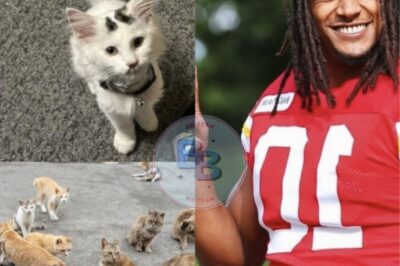 Kansas City Chiefs’ Isiah Pacheco Launches $5 Million Cat Sanctuary: “Forever Paws Home” is a Touchdown for Animal Welfare ❤️🐾