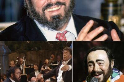 London, 1982: When Pavarotti didn’t just sing — he rewrote the laws of sound and made audiences forget to breathe! In “L’elisir d’amore” and “Turandot,” the legendary tenor turned every note into an emotional weapon of mass destruction. One viewer said, “I only meant to listen for a minute… but three hours later I was crying in my kitchen.” The curls, the gaze, the voice? Like God borrowed his body for one night only. Fans are restoring the footage, zooming in frame by frame to confirm: “Yes, at 1:47, that woman definitely fainted from passion.” Gen Z is discovering he was flexing vocals before auto-tune was even born, while TikTok explodes with “Reacting to Pavarotti’s Final Note (And Blacking Out).” 1982 wasn’t just a year — it was the last time humanity heard perfection echo across a theatre.