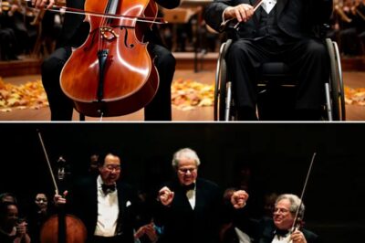 They Called It “Royal Fall Logic” – But No One Was Ready for What Happened When Yo-Yo Ma and Itzhak Perlman Took the Stage