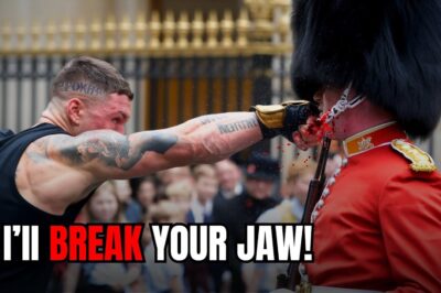 Bully Punches Royal Guard… Then Gets His Teeth KNOCKED OUT!