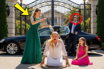 Billionaire Came Home Early—and Caught His Fiancée Pouring Dirty Water Over His Mother.