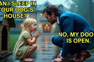 Poor Girl Begged a Millionaire to Sleep in a Doghouse — His Answer Shocked Everyone