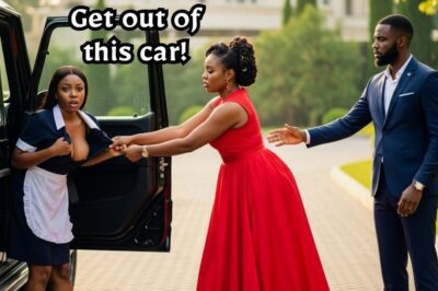 Wife Humiliated Poor Maid In Front of Her Husband & Dragged Her Out of His Car