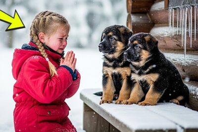 A Little Girl Took In Two Freezing Dogs — The Next Morning, Police Surrounded Her House!