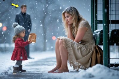 “You Need a Home, and I Need a Mommy,” Said the Little Girl to the Young Homeless Woman at the Bus…