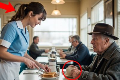 A Waitress Helped an Old Man Every Morning — Until His Lawyers Walked In With 4 Bodyguards