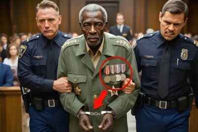 A black Homeless War Hero on Trial – What Happens When the Judge Hears His Name Stuns Everyone