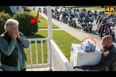 Elderly Woman Spent Her Last $10 Helping a Biker — Next Day, 50 Riders Changed Her Life Forever
