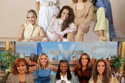 ABC CEO Sends Shockwaves Through TV World: ‘It’s Time to Cancel THE VIEW,’ Calling It the Worst Show Ever—Fans and Insiders Are Stunned by the Sudden End of the Iconic 20-Year Program. What Secret Factors Led to This Decision? Full Explosive Details in the Comments Below