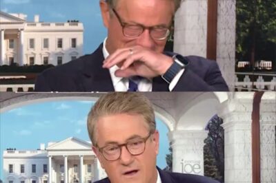 Joe Scarborough, anchor at MSNBC, has suffered the tragic loss of his second son after dealing with Asperger’s, diabetes, and a brain injury. His son left behind heartbreaking final words: “I’m heartbroken over my son’s passing…”