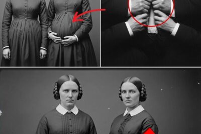 Forced to Share a Husband, the Tragedy of the Twin Sisters… Explodes When One of Them Gets Pregnant