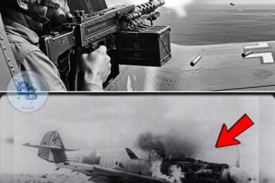 How One Gunner’s “Suicidal” Tactic Destroyed 12 Bf 109s in 4 Minutes — Changed Air Combat Forever