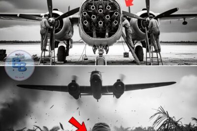 Experts Called His B-25 Gunship “Impossible” — Then It Destroyed 12 Japanese Ships in 3 Days