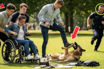 Rich Kids Bullied a Girl in a Wheelchair and Kicked Her Police Dog – Until an Officer Stepped In