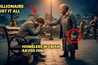 He Lost Everything in One Day — But a Homeless Woman Changed His Life Forever