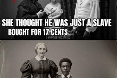 The Widow Bought a Young Slave for 17 Cents… She Never Knew Who He’d Been Married To