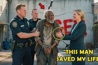 Homeless Man Saves a Wealthy Woman From a Collapsing Wall, What Happens Next Shocks the Town