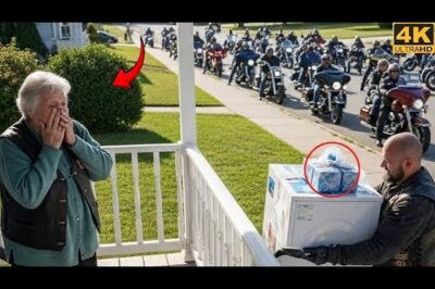 Elderly Woman Spent Her Last $10 Helping a Biker — Next Day, 50 Riders Changed Her Life Forever