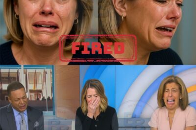 The segment had been routine: light conversation, easy laughter, the usual morning energy.