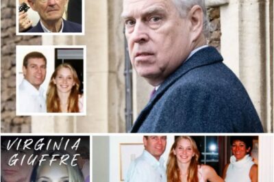 Virginia Giuffre Speaks Out: Shocking Truths About Epstein the World Has Never Heard