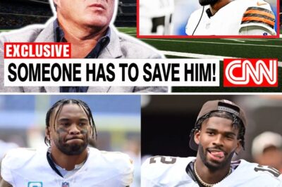 Dolphins CEO Shocked by Expert’s Urgent Plea for Shedeur Sanders—Fans Can’t Handle It!