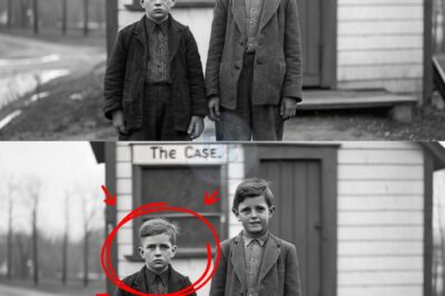 The Reeves Boys Were Found in 1972 — What They Confessed Destroyed the Case