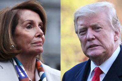 ‘A Vile Creature’: Nancy Pelosi Delivers Devastating Verdict on Trump, Calling Him ‘The Worst Thing on the Face of the Earth’