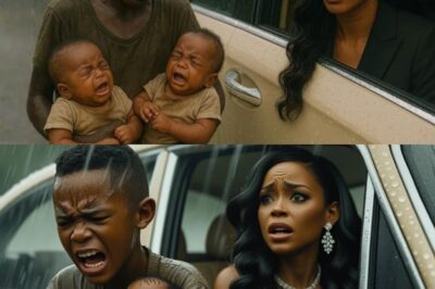 The Billionaire’s Secret: A Widow’s Discovery on a Rainy Day Unearths a Hidden Family and a Sh0cking Betrayal