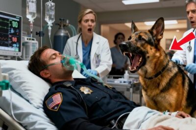 He was on the verge of death. 15 doctors had all but given up on him – But His Dog, a loyal companion, did something no one expected…
