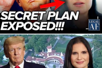 The Cannon Conspiracy: Secret Trump Plot to Use Judge Aileen Cannon in “Revenge” Scheme to Indict Barack Obama Revealed