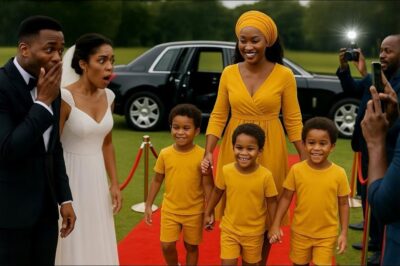 He Invited His Poor Ex-Wife To His Wedding To Disgrace Her, But She Came In A Rolls- Royce + Triplet