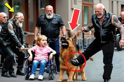 A Biker Kicked a Little Girl’s German Shepherd as a Joke — Not Knowing It Was a Trained Police Dog!