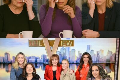 The View fans sh0cked: No new episode! ABC released a secret announcement, leaving viewers in despair — The heartbreaking truth has been revealed, details in the comments