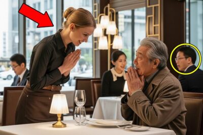No One Helped the Japanese Billionaire — Until the Waitress Greeted Him in Japanese