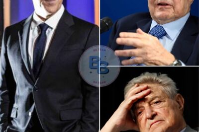 GREG GUTFELD JUST FIRED THE FIRST SHOT IN THE FINANCIAL W@R