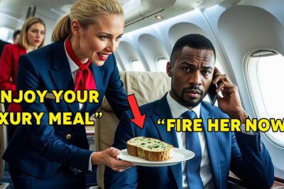 Black CEO Served Moldy Food —So He Fires The Racist Flight Attendant On Landing