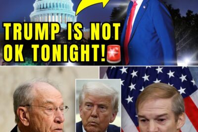 “His Days Are Over”: Prominent Democrat Blindsides Leadership with Call to Replace Chuck Schumer and Names 4 Potential Successors