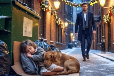 Single Dad Finds A Little Girl And Her Dog Sleeping on Trash—The Truth Broke His Heart