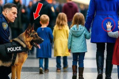 A little girl’s silent signal to a police dog sparked a shocking chain of events that no one could have predicted…