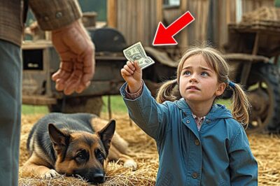 Girl Paid $5 For Injured German Shepherd… But What The Dog Did Next Left Her In Tears!