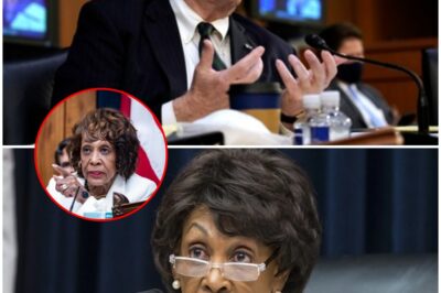 “THE VOICES AREN’T REAL”: Senator Kennedy’s Brutal Takedown of Maxine Waters Leaves Capitol Hill in Stunned Silence