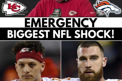 The “Gold Playbook” Revealed: Andy Reid’s Shocking Midnight Announcement Unleashes the “Avalanche Package” on the NFL