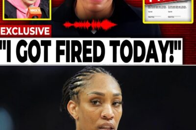 A’ja Wilson, Angel McCoughtry, and the “Delusional” War of Words: How a 1-on-1 Challenge Sparked an NBA Reality Check